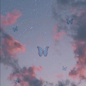 Meet your Posher, Penelope